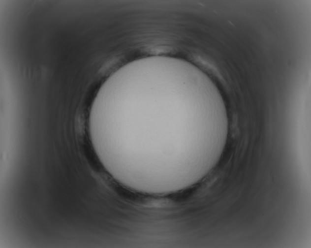 X0000083050210200703022118