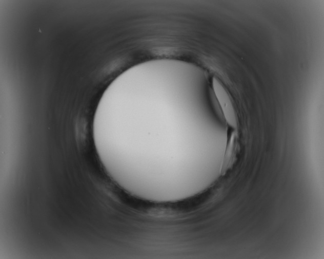 X0000083050211200703022118