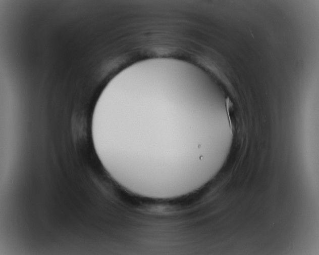 X0000083050212200703022118