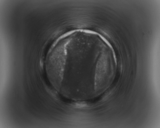 X0000083050214200703022118