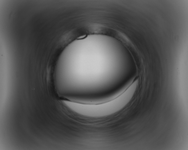 X0000083050217200703022118