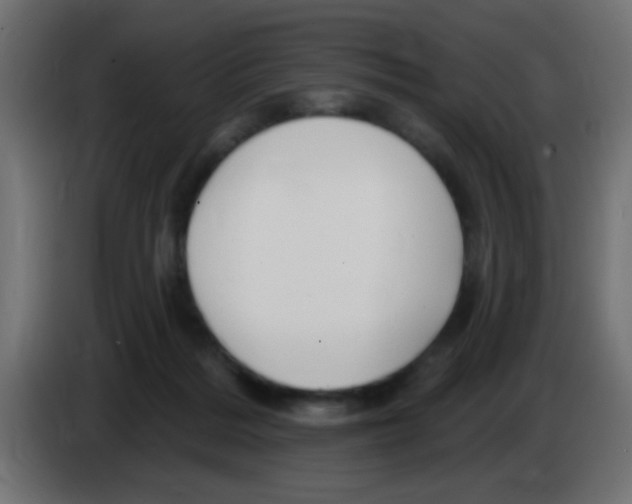 X0000083050220200703022118