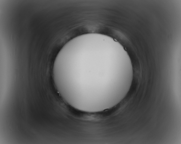 X0000083050221200703022118