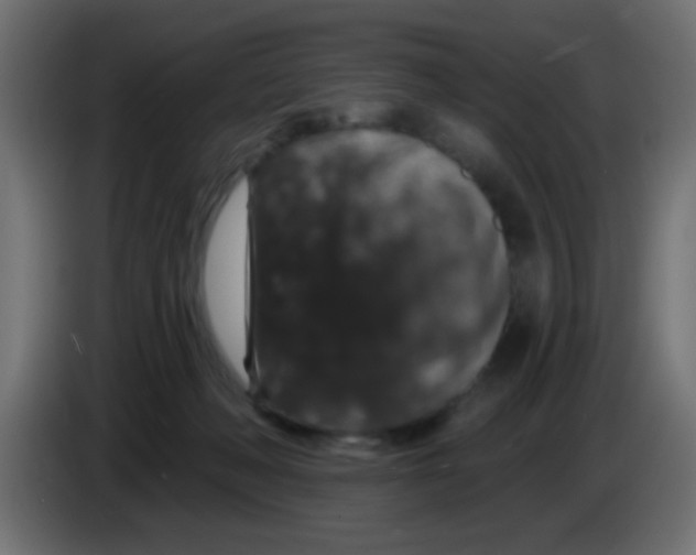 X0000083050222200703022118