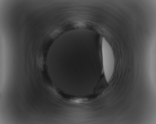 X0000083050223200703022118