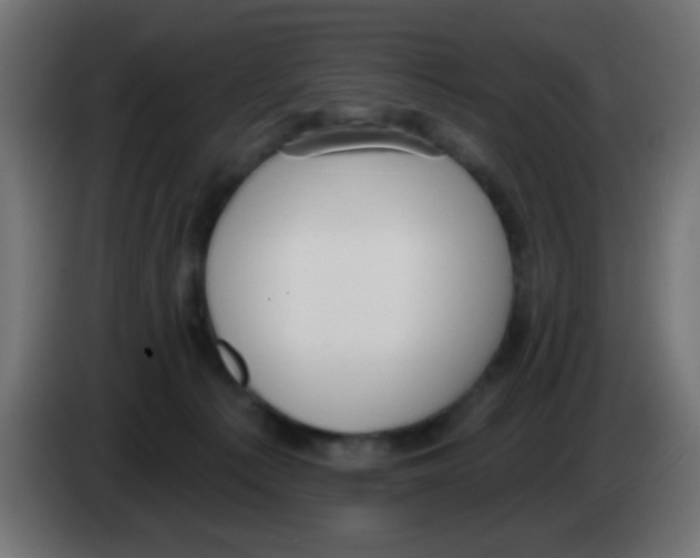 X0000083050225200703022118