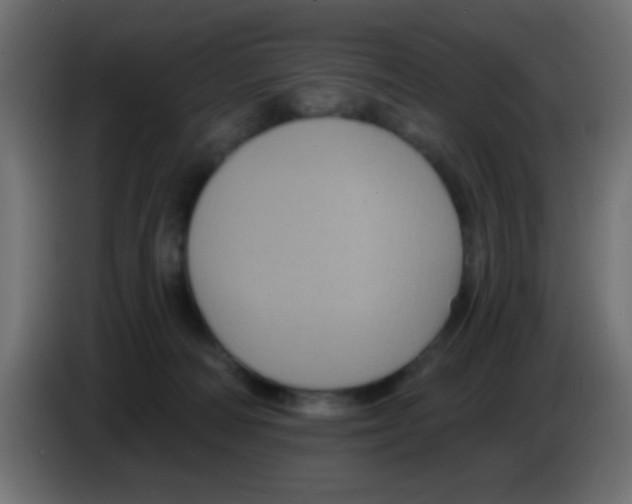 X0000083050226200703022118