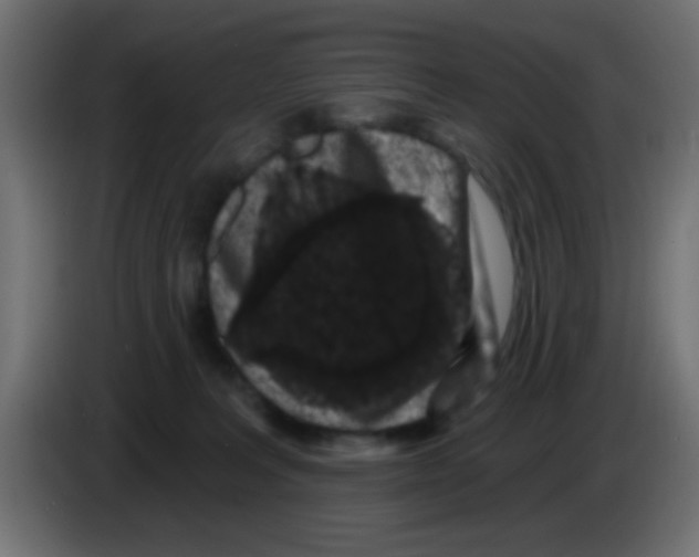 X0000083050227200703022118