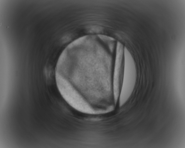 X0000083050228200703022118