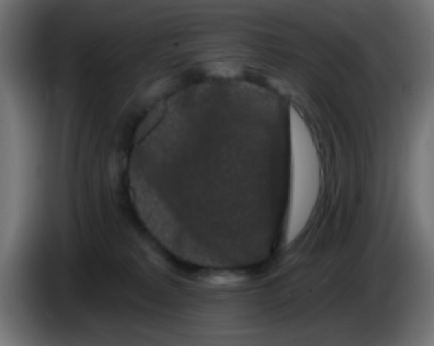 X0000083050229200703022118