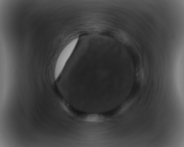 X0000083050231200703022118