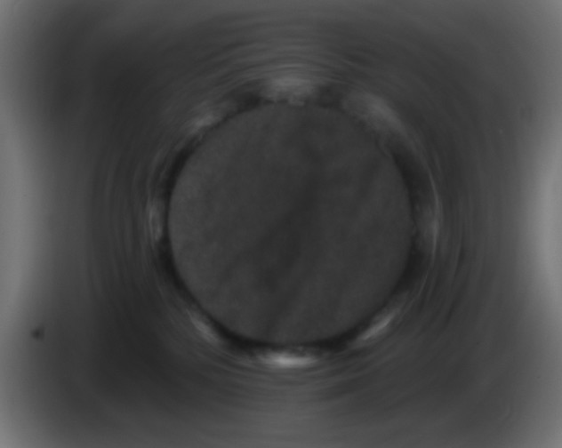 X0000083050232200703022118