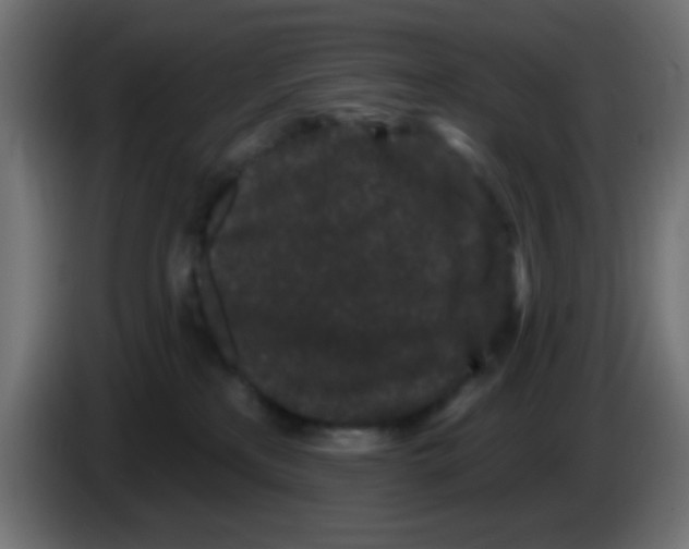 X0000083050233200703022118