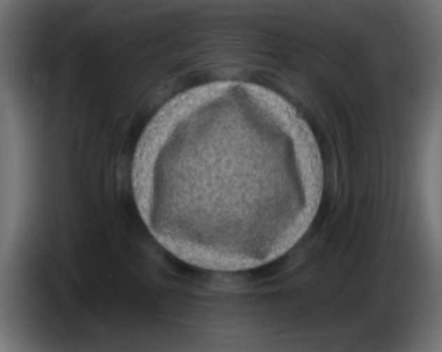 X0000083050234200703022118