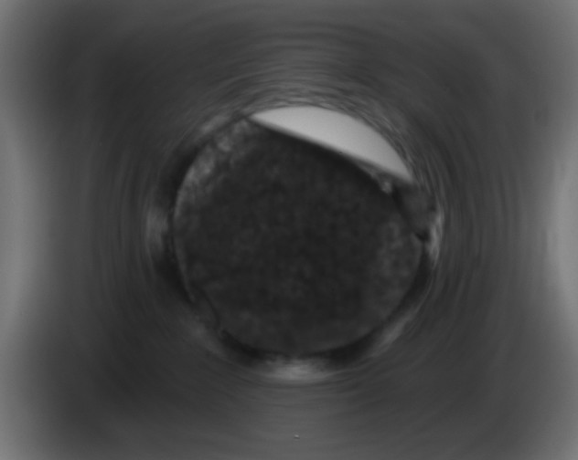 X0000083050235200703022118