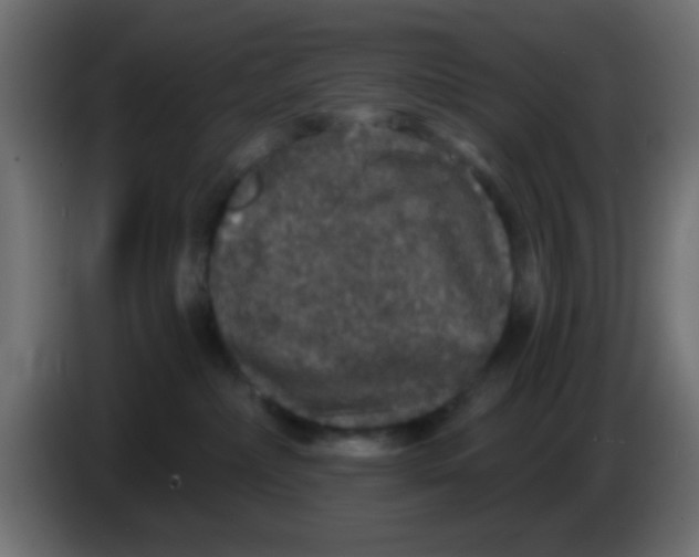 X0000083050236200703022118