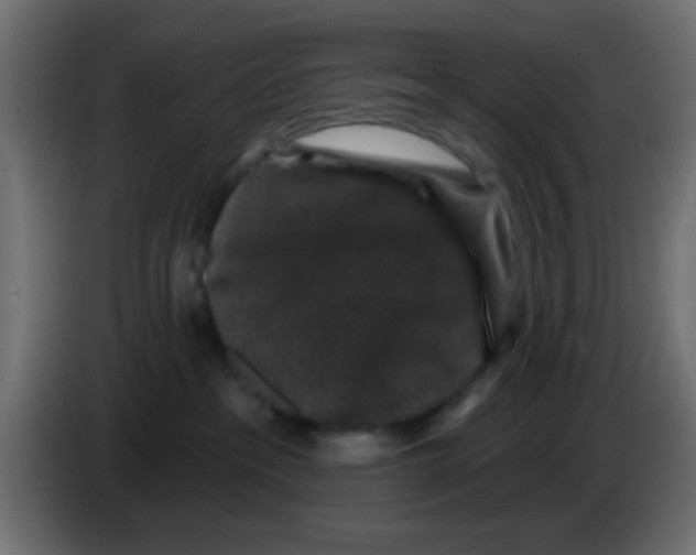 X0000083050237200703022118