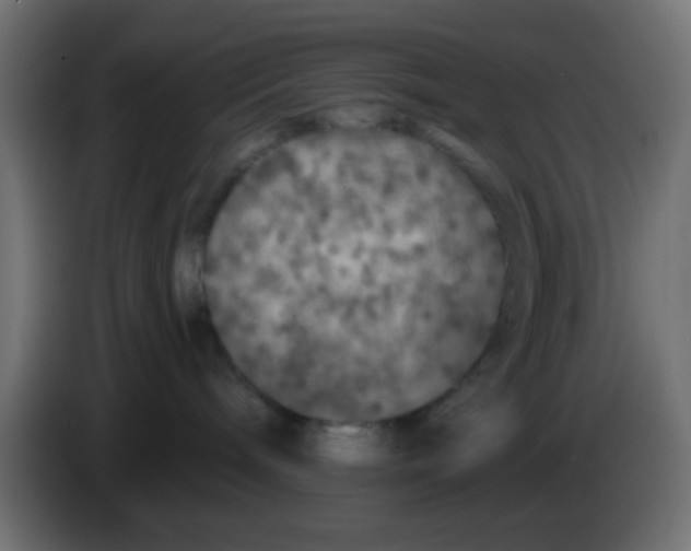 X0000083050240200703022118