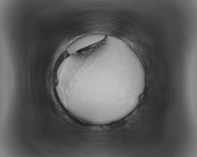 X0000083050241200703022117