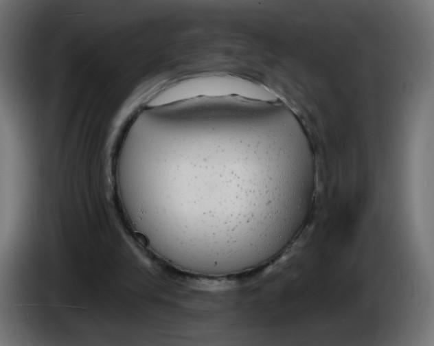 X0000083050245200703022117