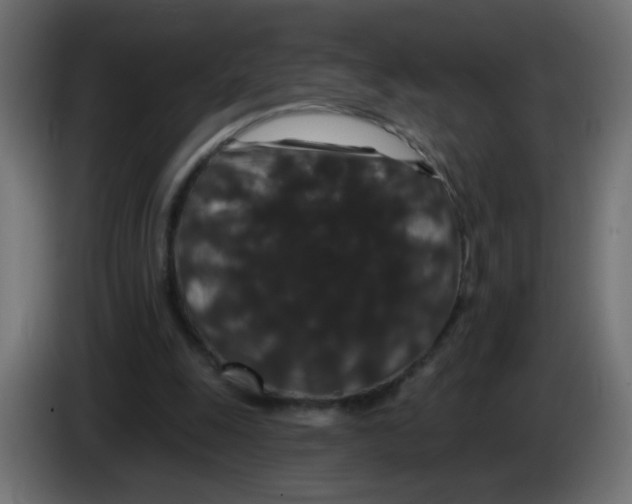 X0000083050247200703022117