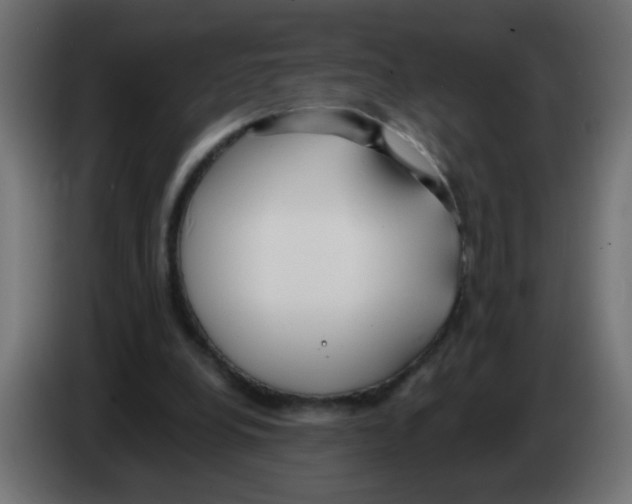 X0000083050248200703022117