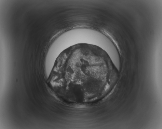 X0000083050249200703022117