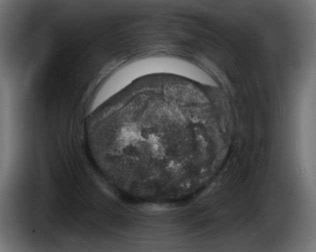 X0000083050250200703022117