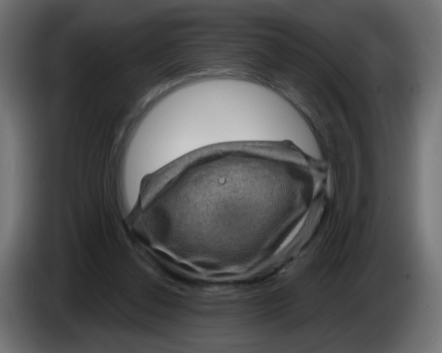 X0000083050252200703022117