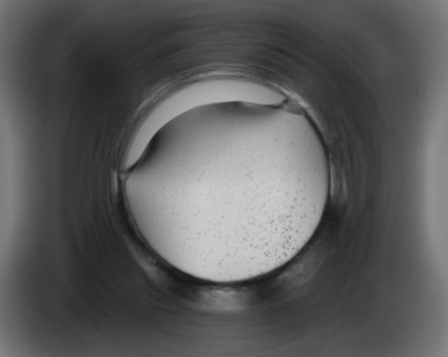 X0000083050253200703022117