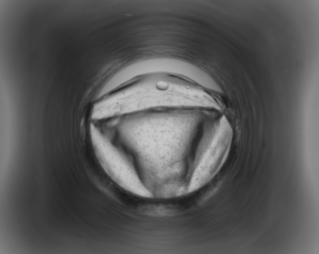 X0000083050254200703022117