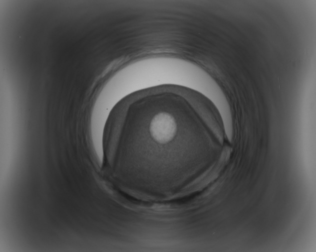 X0000083050256200703022117