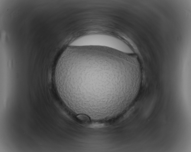 X0000083050257200703022117