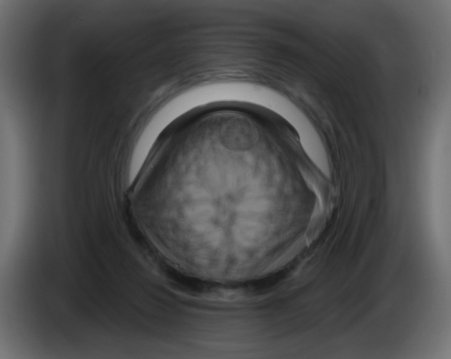 X0000083050260200703022117