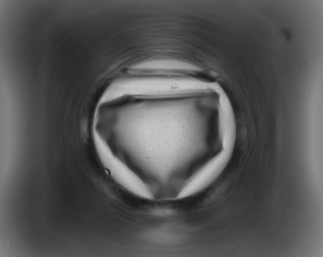 X0000083050262200703022117