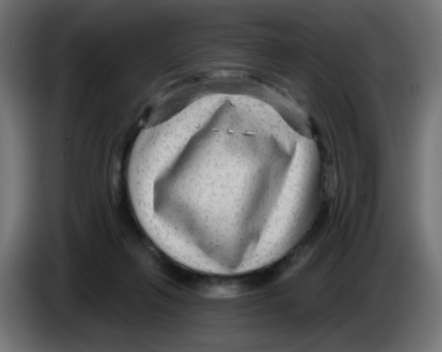 X0000083050263200703022117