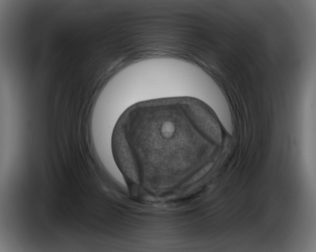 X0000083050264200703022117