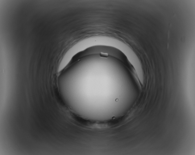 X0000083050270200703022117