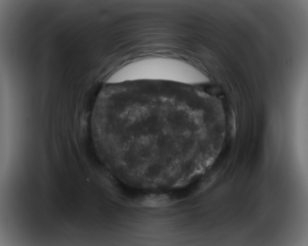 X0000083050271200703022117