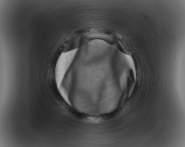 X0000083050272200703022117