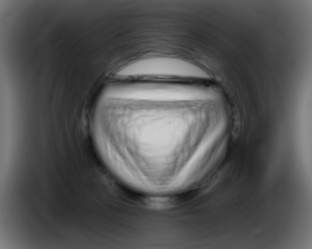 X0000083050273200703022117