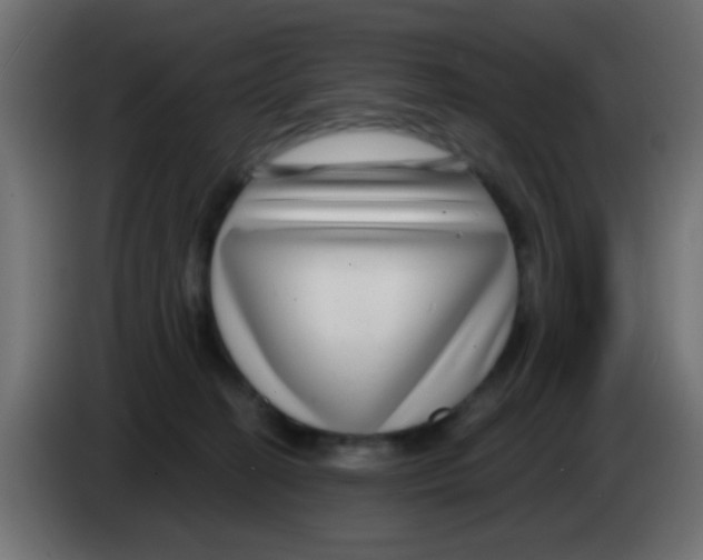 X0000083050274200703022117