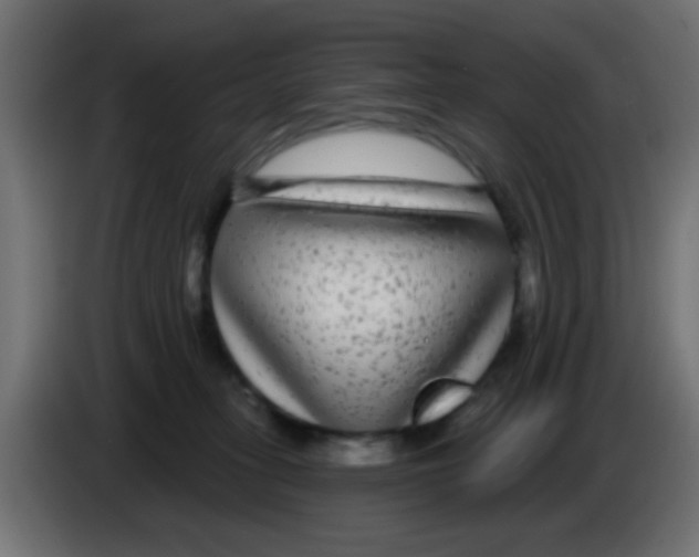 X0000083050275200703022117