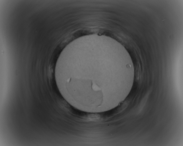 X0000083050279200703022117