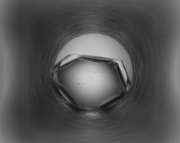 X0000083050280200703022117