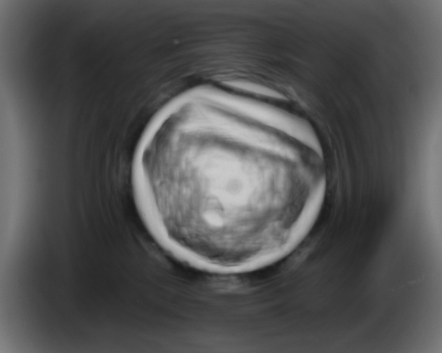 X0000083050281200703022117