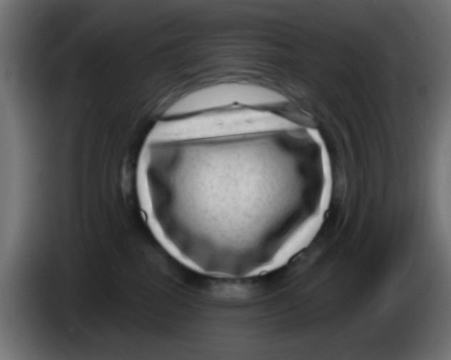 X0000083050282200703022117