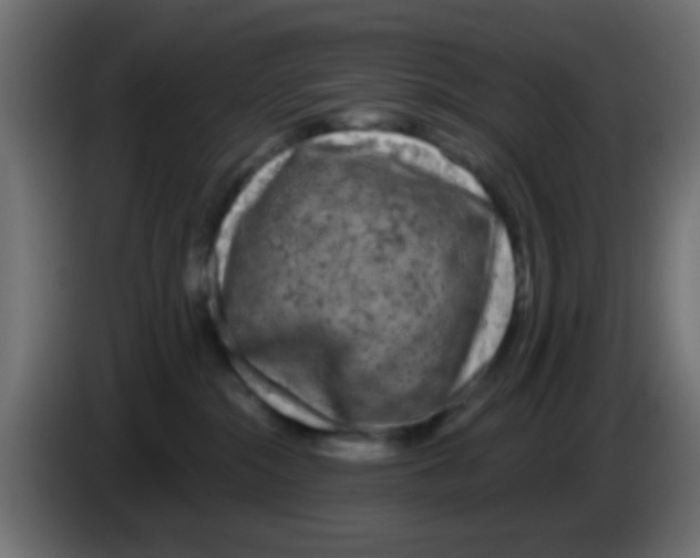 X0000083050284200703022117