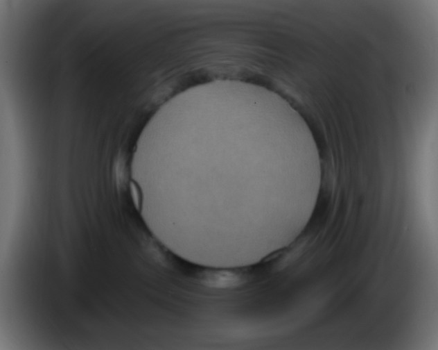 X0000083050287200703022117