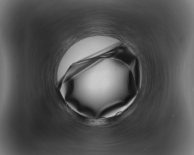 X0000083050288200703022117